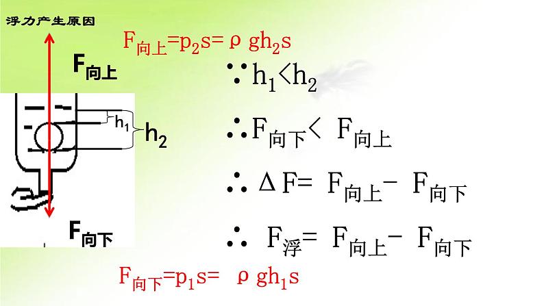 初中物理人教版八年级下册 第1节浮力 课件第4页