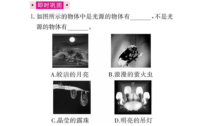 初中物理人教版八年级上册第4章复习练习课件PPT第4页