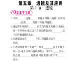 初中  物理  人教版  八年级上册第5章复习练习课件PPT