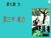 2022年人教版八年级物理下册第7章第3节重力课件 (3)
