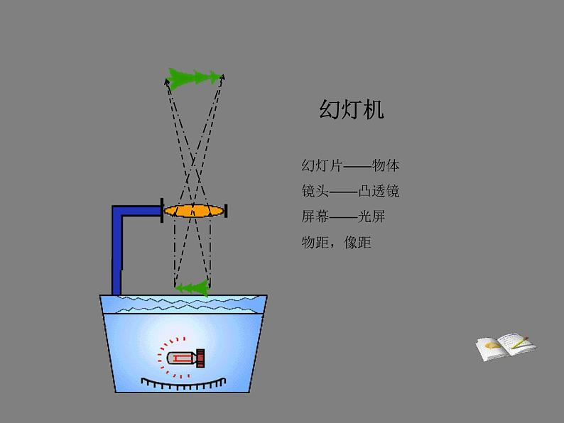 北师大版八下物理 6.3生活中的透镜 课件第5页