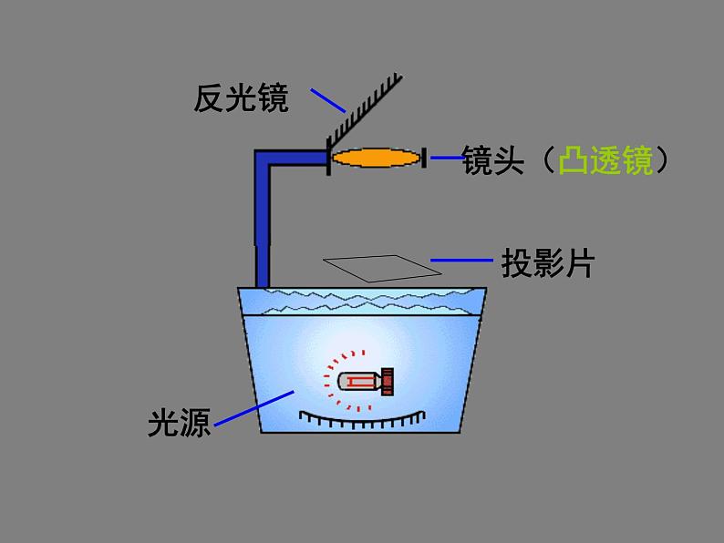 北师大版八下物理 6.3生活中的透镜 课件第6页