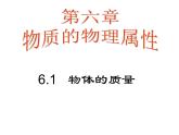 苏科版八年级下册物理 6.1物体的质量 课件