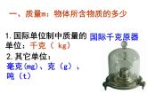 苏科版八年级下册物理 6.1物体的质量 课件