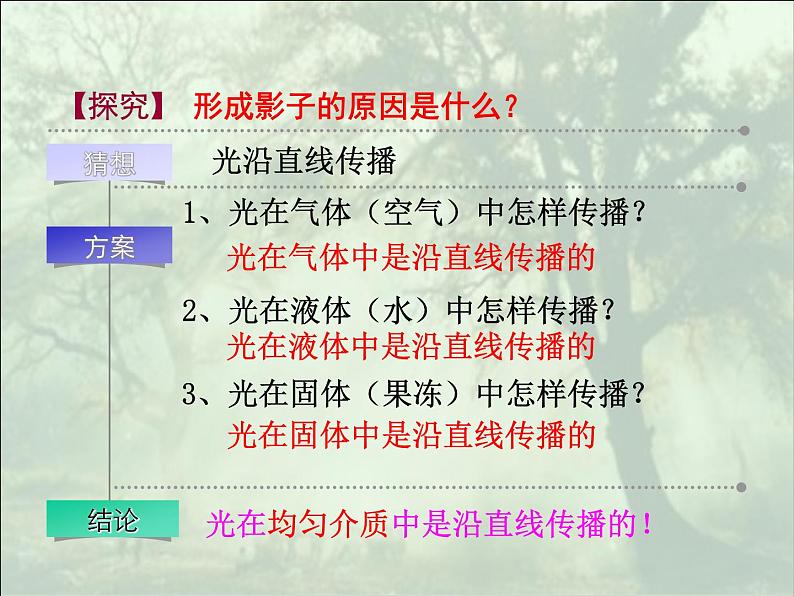 苏科版八年级物理上册 3.3光的直线传播课件PPT第4页