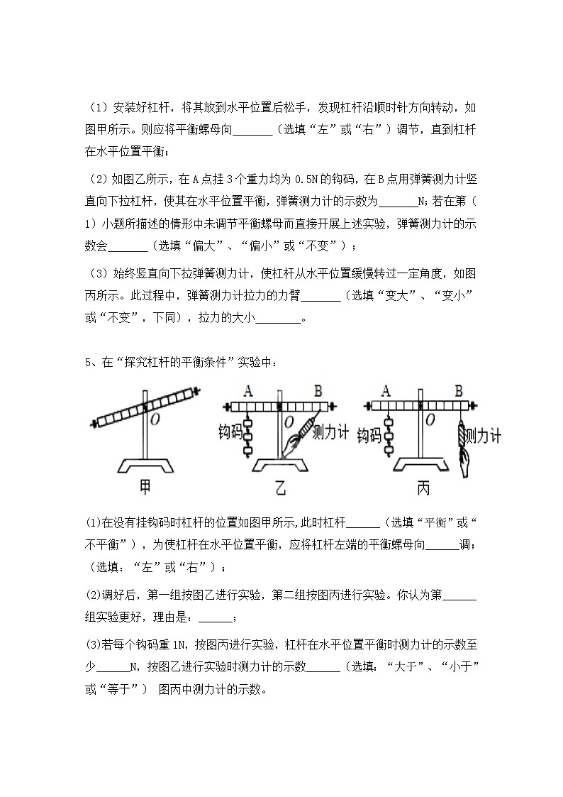 2022年中考复习物理能力训练2-杠杆平衡探究实验第3页