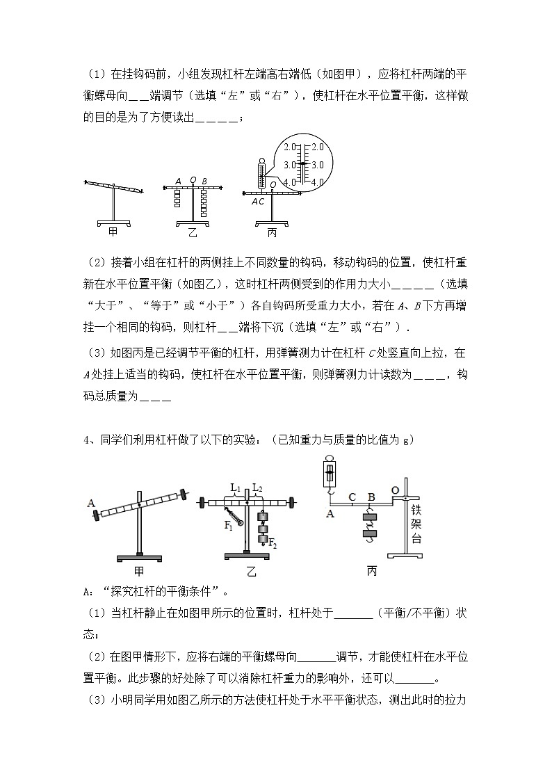2022年中考物理复习能力训练3-杠杆平衡探究实验第2页