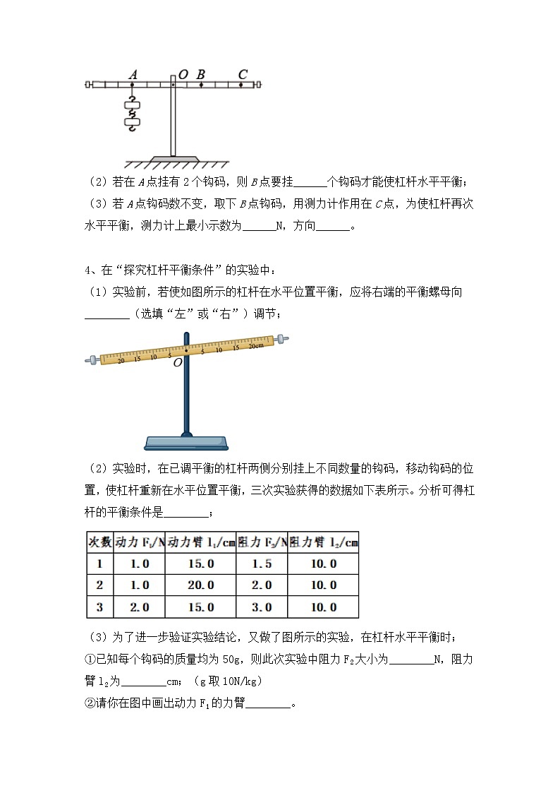 2022年中考物理复习能力训练4-杠杆平衡探究实验第2页