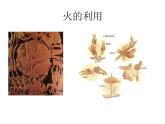 2022年苏科版九年级物理第18章第1节能源利用与社会发展课件 (1)