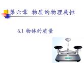 苏科版八年级下册物理 6.1物体的质量 课件