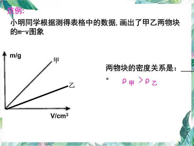 中考复习《质量与密度》课件PPT第4页