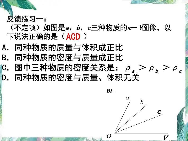 中考复习《质量与密度》课件PPT第5页