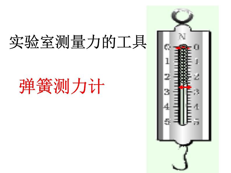 粤沪版八下物理 6.2 怎样测量和表示力 课件第4页