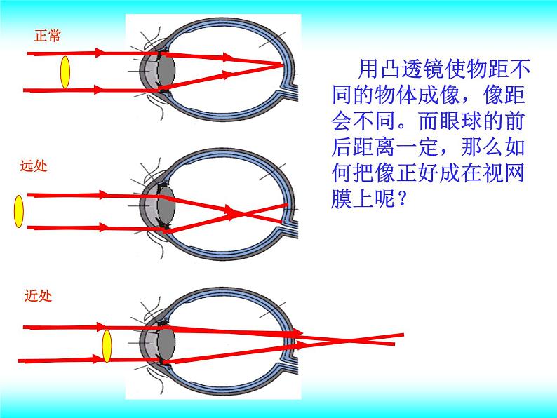 北师大版八下物理 6.4眼睛和眼镜 课件07