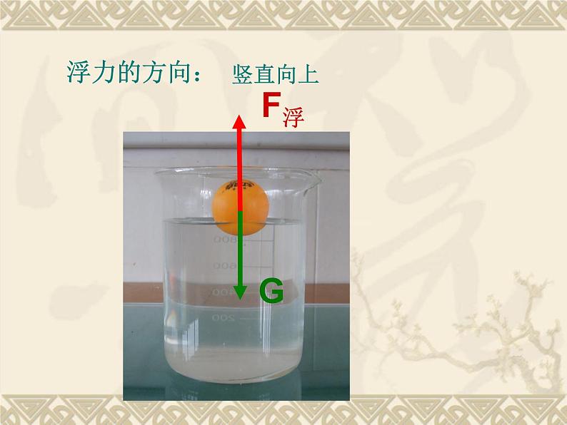 教科版八下物理 10.2 认识浮力 课件05