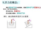 苏科版八下物理 10.4浮力 复习 课件