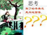 教科版八下物理  7.4 重力 课件