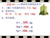 苏科版八下物理 6.1物体的质量  课件