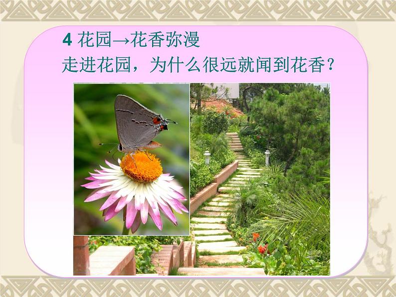 粤教版八年级下册物理  10.1 认识分子 课件07