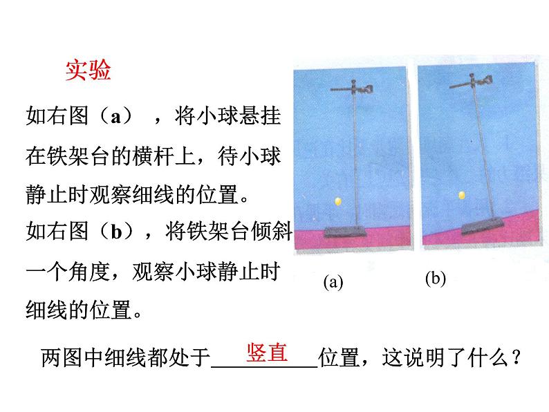 粤教版八年级下册物理  6.3 重力 课件07