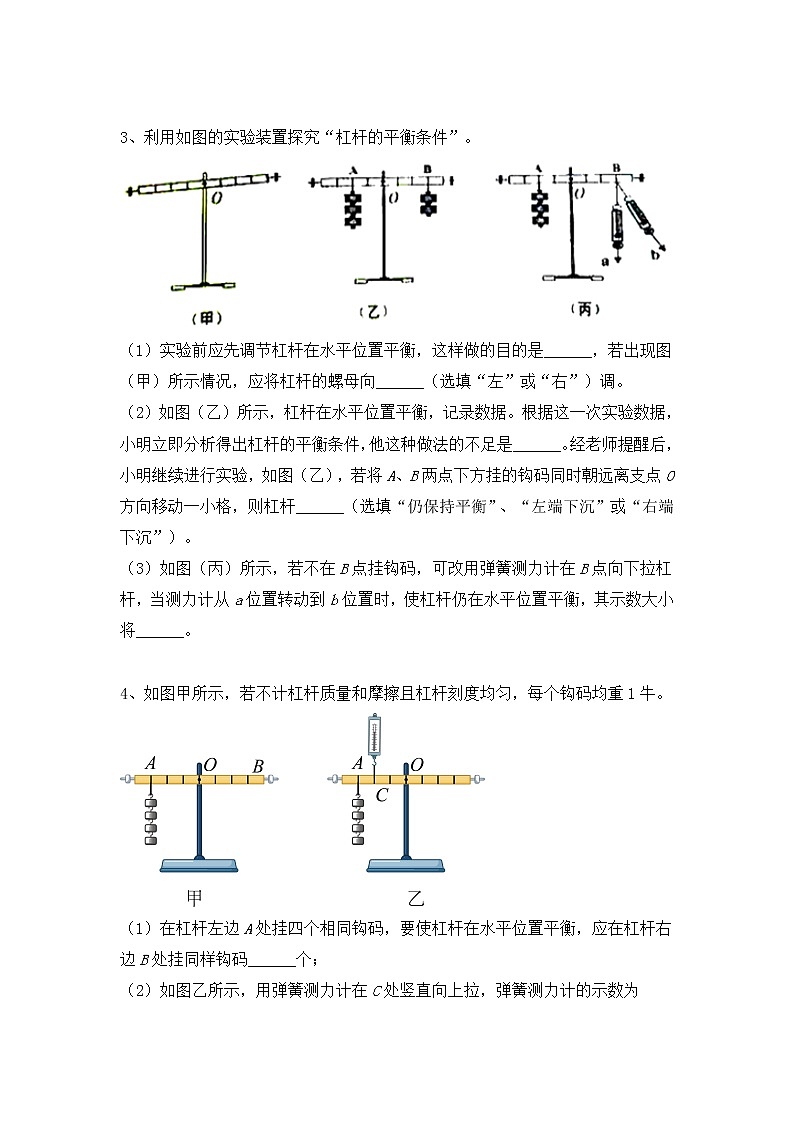 2022年中考物理二轮专项复习实验2-杠杆平衡探究实验第2页