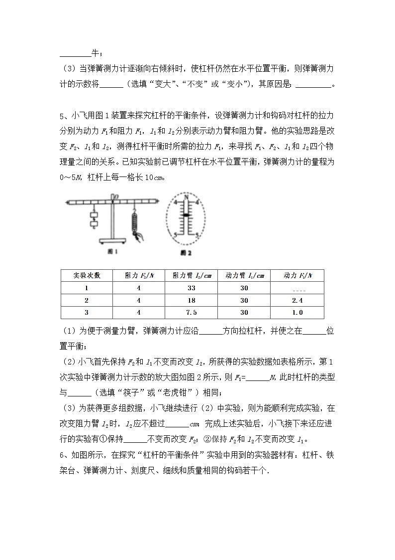 2022年中考物理二轮专项复习实验2-杠杆平衡探究实验第3页