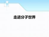 苏科版八年级下册物理 7.1走进分子世界 课件