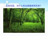 蘇科版八年級(jí)下冊(cè)物理 7.1走進(jìn)分子世界 課件