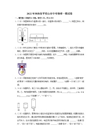 2022年河南省平顶山市中考物理一模试卷