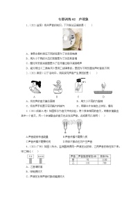 中考物理必刷题     专题训练02声现象