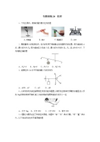 中考物理必刷题     专题训练20杠杆