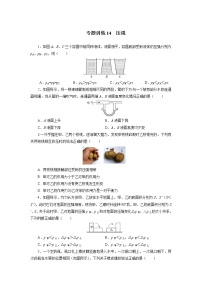 中考物理必刷题     专题训练14压强