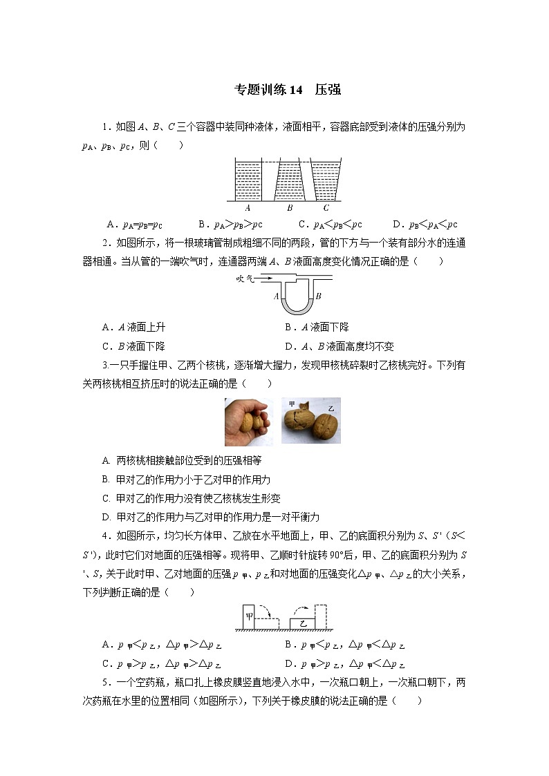 中考物理必刷题     专题训练14压强第1页