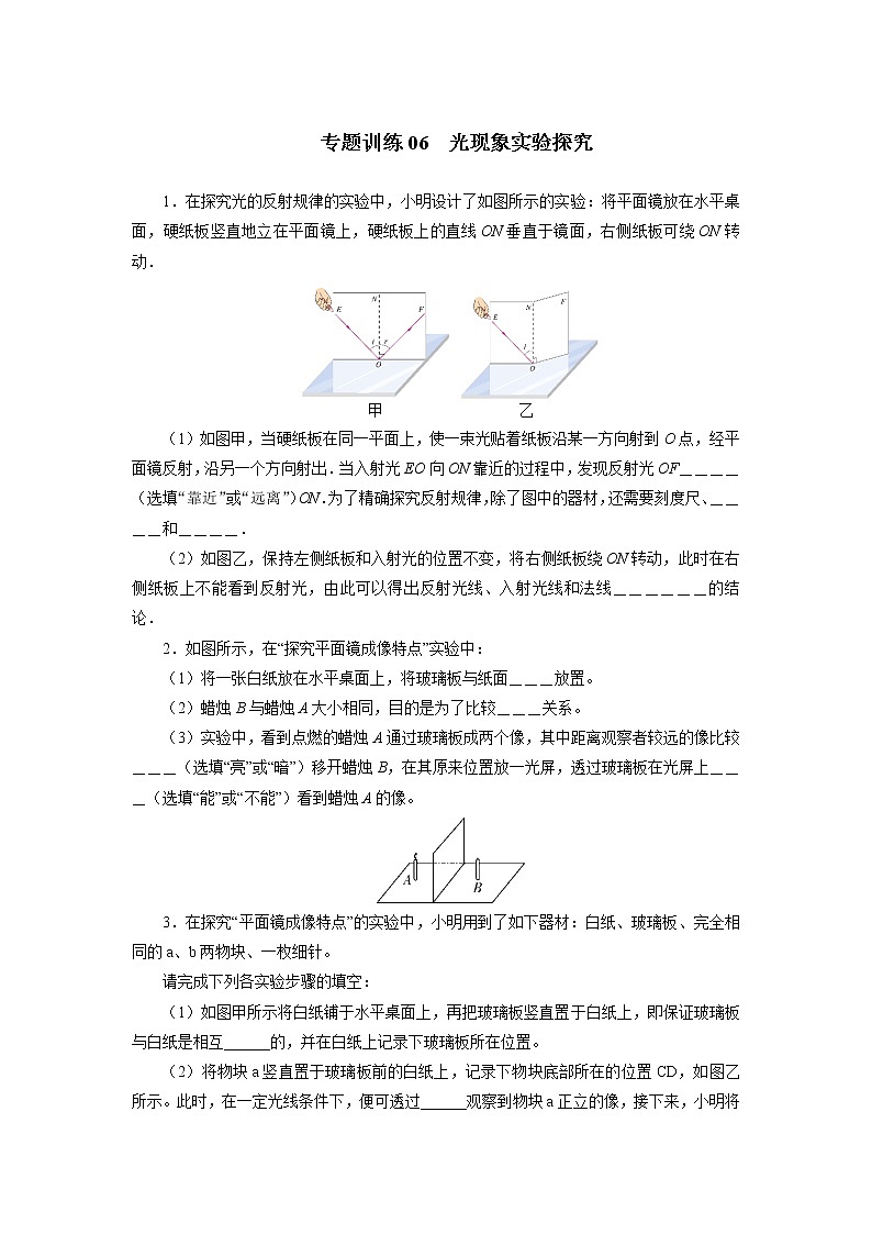 中考物理必刷题     专题训练06光现象实验探究01