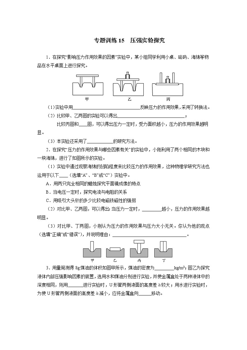 中考必刷题专题     训练15压强实验探究01
