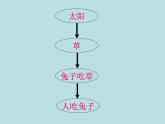 苏科版九年级下册物理 18.5能源与可持续发展 课件