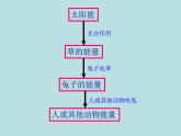 苏科版九年级下册物理 18.5能源与可持续发展 课件