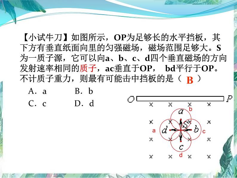 物理专题复习 磁场专题复习课件08