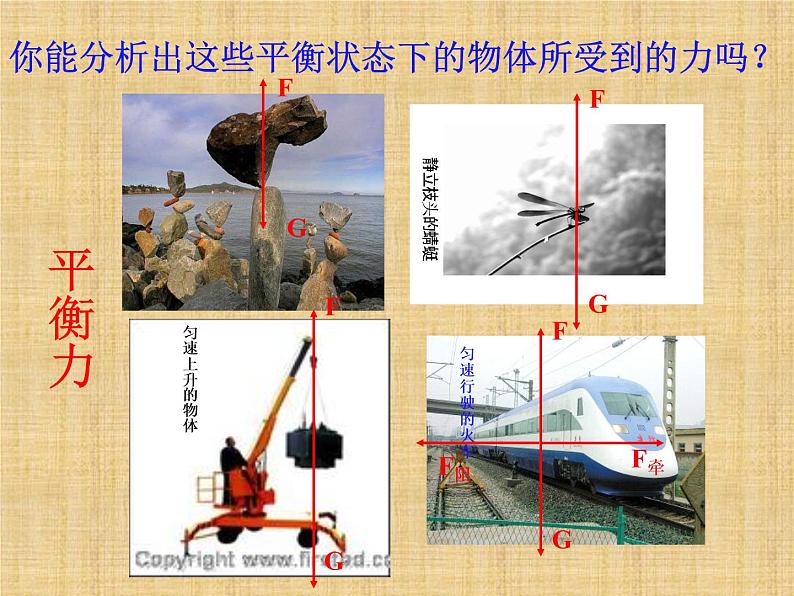 苏科版八年级下册物理 9.1二力平衡 课件第4页