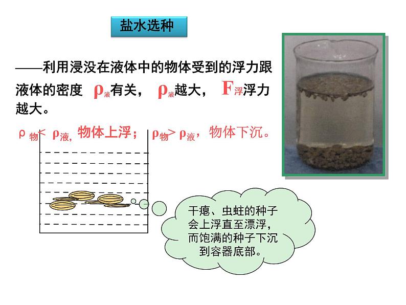 苏科版八年级下册物理 10.5物体的浮于沉 课件第8页