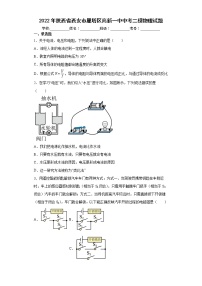 2022年陕西省西安市雁塔区高新一中中考二模物理试题(word版含答案)