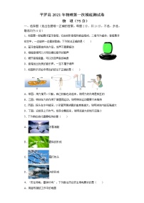 2022年宁夏石嘴山市平罗县初中学业水平模拟（一）物理试题(word版含答案)