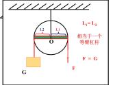 沪粤版八下物理  6.6 探究滑轮的作用 课件