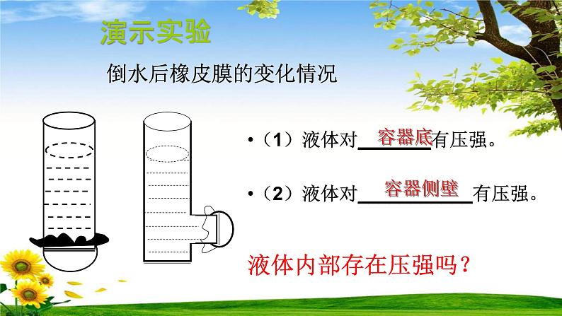 教科版八下物理  9.2 液体的压强 课件第5页