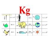 苏科版八下物理 6.1物体的质量  课件