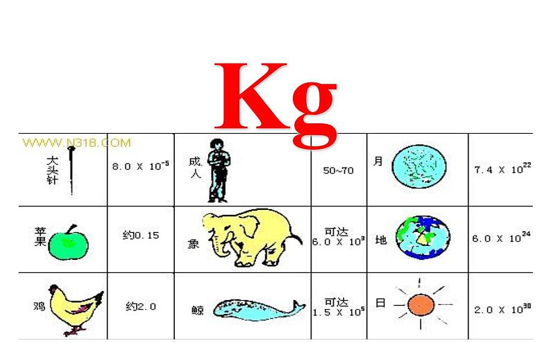 苏科版八下物理 6.1物体的质量  课件第3页