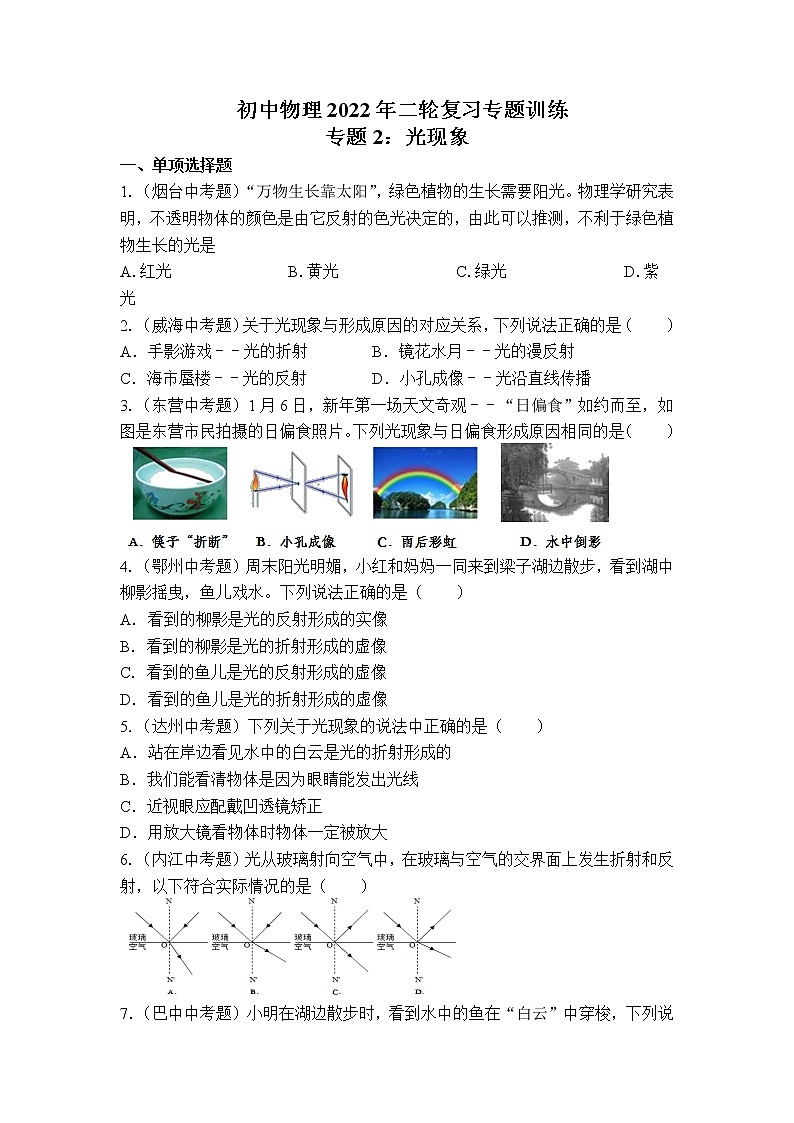 2022年中考物理二轮复习专题训练专题：光现象第1页