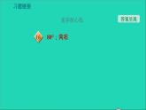 2021秋八年级物理上册第3章光和眼睛3.2探究光的反射规律课件+教案+学案+素材打包11套新版粤教沪版