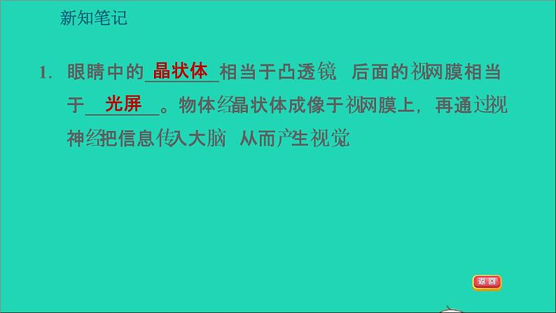 2021秋八年级物理上册第3章3.7眼睛与光学仪器课件+教案+学案+素材打包16套新版粤教沪版06