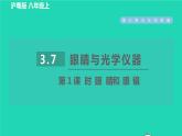 2021秋八年級物理上冊第3章3.7眼睛與光學儀器課件+教案+學案+素材打包16套新版粵教滬版
